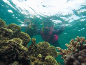 Panorama Snorkling Pulau Kelapa