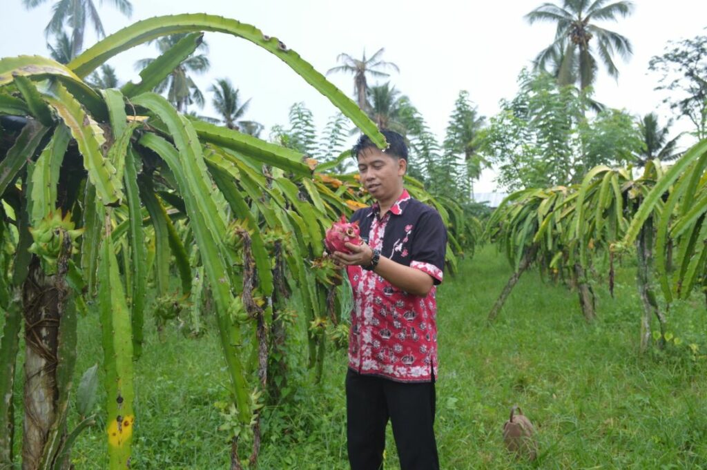 Dinas Pariwisatan dan Kebudayaan Kab. Sinjai menguji kualitas Buah Naga secara langsung. (Sumber foto: Facebook, Dinas pariwisata dan kebudayaan Kab. Sinjai).