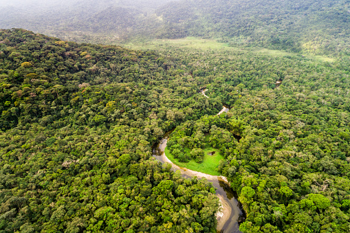 Ilustrasi Kawasan Hutan yang dilindungi. Sumber Foto: pixabay.com