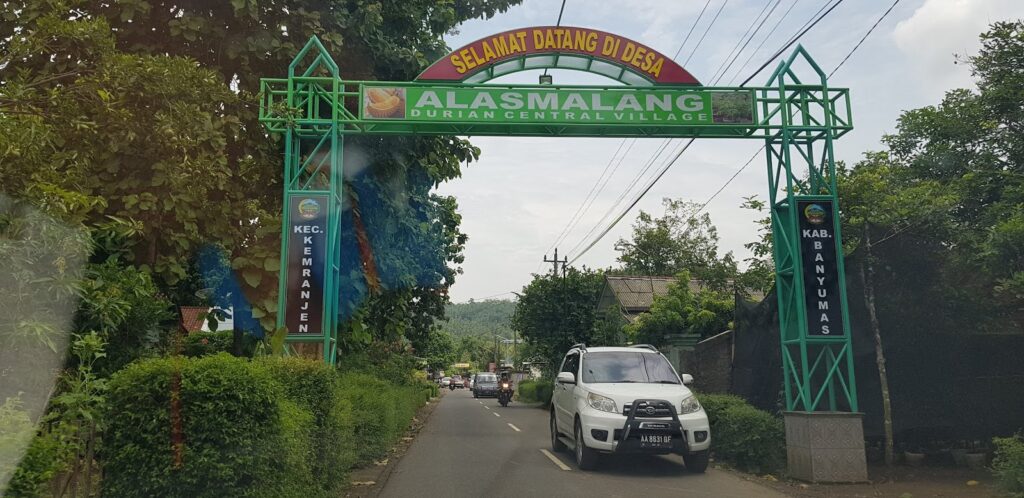 <strong>Desa Alasmalang jadi Sentra Kampung Durian</strong>