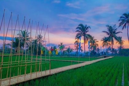 Pemandangan alam yang ditawarkan Desa Wisata Kemiri, Kabupaten Jember Sumber: Ig@wisatakemiri