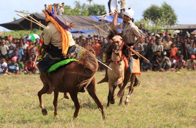 Tradisi Pasola Sumba Barat.  Sumber Foto: Twitter @Lutanojr