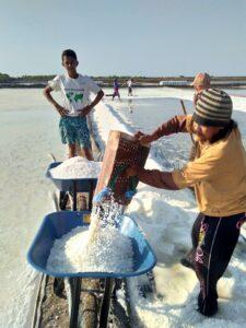 Petani Desa Kalibuntu sedang panen garam (2017), Sumber foto: facebook SUPRAYONO