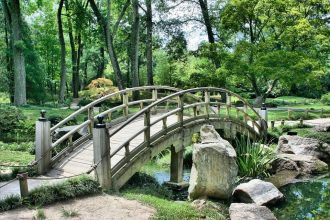 Ilustrasi Taman Desa Paiton Sumber Foto: pixabay.com