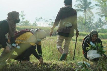 masyarakat Desa Kesemek, Bondowoso saat aktifitas. Sumber Foto: Istimewah