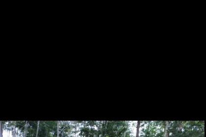 River tubing jadi salah satu daya tarik wisata Desa Wisata Duren Sari Sumber: jadesta.kemenparekraf.go.id