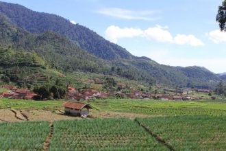 Lahan pertanian daun bawang yang menjadi produk unggulan Desa Lebakmuncang Sumber: lebakmuncang.com