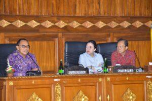 Anggota DPR saat melangsungkan Rapat membahas RUU Provinsi Bali Sumber Foto: DPRD Prov Bali