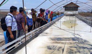 Rumah produksi garam, Desa Kalibuntu. Sumber foto: Istimewa.