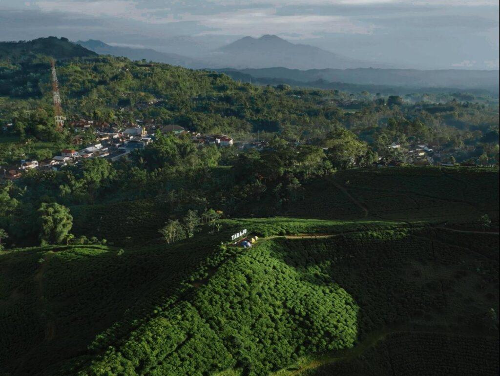 Hamparan kebun teh dan pegunungan Desa Wisata Taraju. Sumber: Pokdarwis Taraju