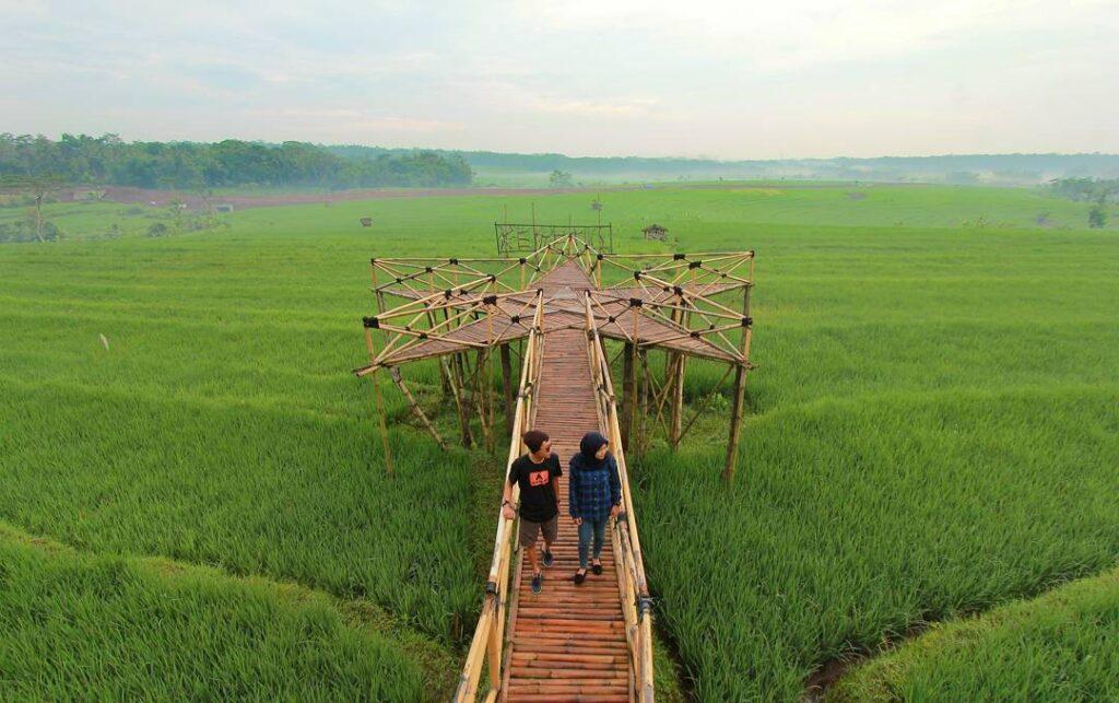 Unik! Kades Kampung Melayu Barat Akan Bangun Desa Wisata Berbasis Persawahan