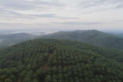 HGU Perusahaan di sekitar Desa. Sumber Foto: gapki.id