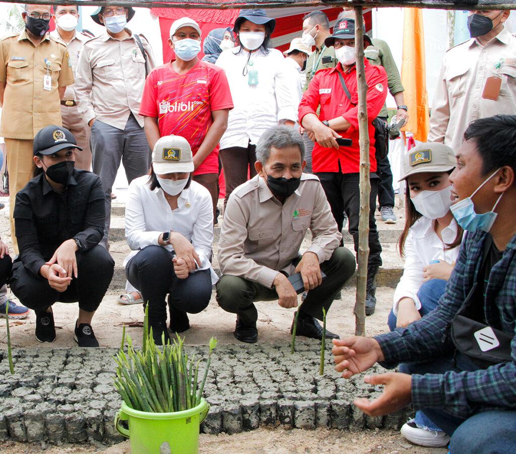 Kegiatan Rehabilitasi Mangrove di Desa Pasir. Sumber: brgm.go.id