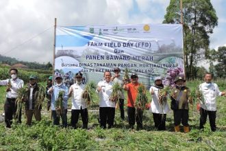 Pagelaran Produk Unggulan Pertanian dan Perkebunan di Kabupaten Malang Sumber: @Dinas Tanam pangan, Hortikultura dan Perkebunan
