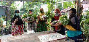 Kampung Sayur Kelurahan Bausasran, Jogjakarta.Sumber foto: Istimewa