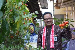 Wakil Wali Kota Yogyakarta Heroe Poerwadi saat panen raya sayur di Kampung Sayur RW 11 Badran Jetis Yogyakarta. Sumber foto: Istimewa