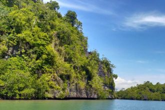 Danau Halong Desa Allang Asaude menjadi spot alami. Hutan Mangrove dan tebing alami menjadi salah satu destinasi yang sering dikunjungi di Allang Asaude Sumber Foto: jadesta.kemenparekraf.go.id