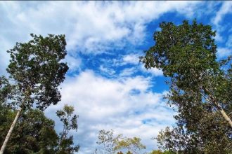 Desa Wisata Namang sumber foto. Instagram@desawisatanamang