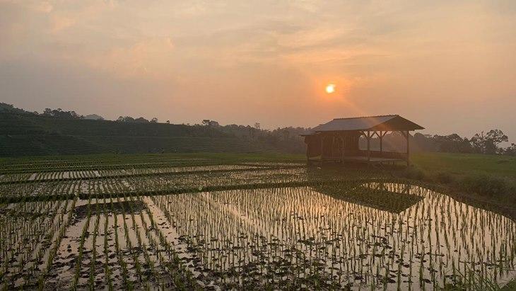 Suasana senja di pematang sawah Desa Wisata Bantaragung. Sumber: Pengelola Wisata