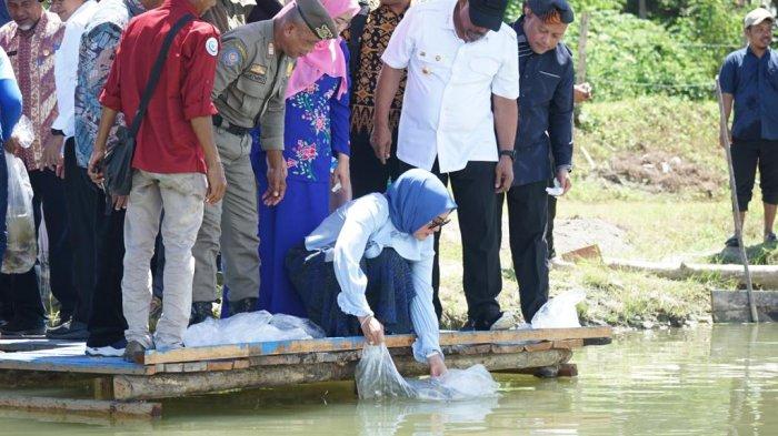 Gubernur Maluku Murad Ismail bersama Ketua TP-PKK Provinsi Maluku Widya Pratiwi Murad menebar 1.500 benih ikan nila di Desa Wailete, Sabtu (6/5/2023). Sumber Foto: Istimewa