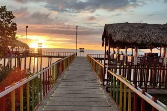 Potensi wisata hutan mangrove Desa Darunu Sumber Foto: Istimewa