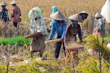 Ilustrasi potensi pertanian Desa Sukamanah, Kabupaten Bogor Sumber Foto: Pixabay