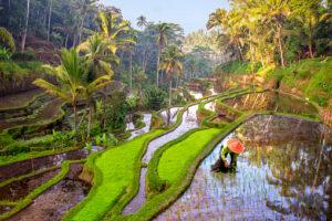 Ilustrasi desa berbasis kawasan dan potensi Sumber Foto: Pixabay