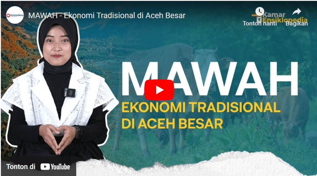 MAWAH - Ekonomi Tradisional di Aceh Besar