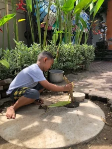 Teba modern digunakan sebagai media tanam. Sumber foto: Istimewa