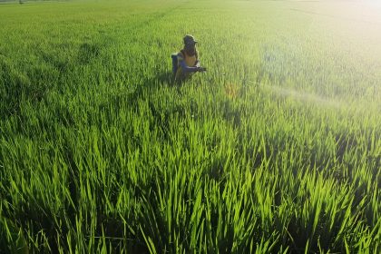 Ilustrasi Basmi Hama, Sumber foto: Freepik