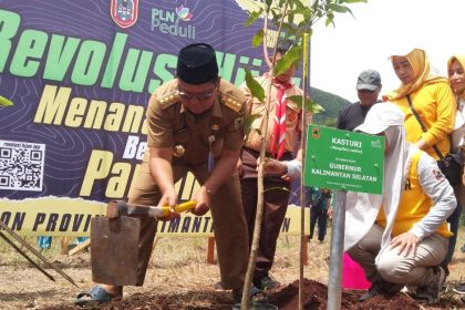 Pemprov Kalsel menanam 7.000 bibit mangrove. Sumber foto: kalselprov.go.id