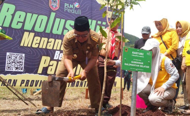 Pemprov Kalsel menanam 7.000 bibit mangrove. Sumber foto: kalselprov.go.id