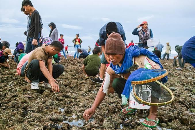 Bau Nyale Tradisi Lombok, Sumber Foto: Twitter hzqmack