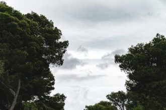 Ilustrasi foto jalan poros. sumber foto. freepik.com