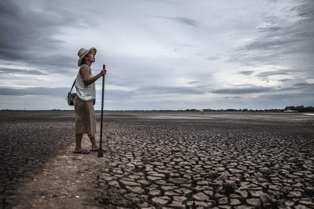  Ilustrasi Sawah Kekeringan, Sumber Foto: Freepik