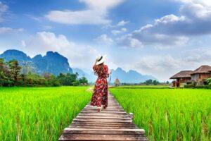 Ilustrasi foto wisata sawah, Sumber foto: freepik. Com