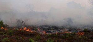 Kebakaran Hutan dan Lahan Tak Kunjung Padam. Sumber foto:kuburayakab.go.id