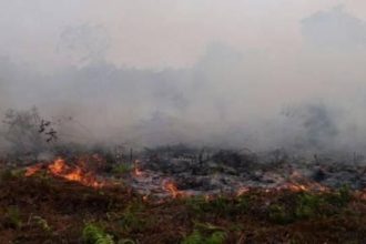 Kebakaran Hutan dan Lahan Tak Kunjung Padam. Sumber foto:kuburayakab.go.id