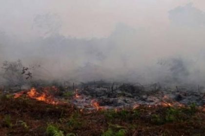 Kebakaran Hutan dan Lahan Tak Kunjung Padam. Sumber foto:kuburayakab.go.id