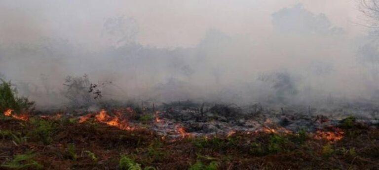 Kebakaran Hutan dan Lahan Tak Kunjung Padam. Sumber foto:kuburayakab.go.id