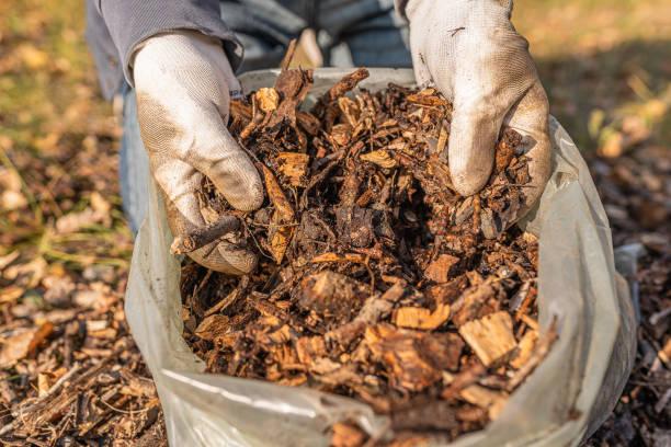 Ilustrasi pengolahan sampah Sumber Foto: Istockphoto