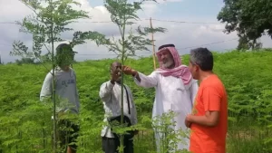 Kunjungan perusahaan asing ke kampung kelor Desa Ngawenombo. Sumber foto: Istimewa