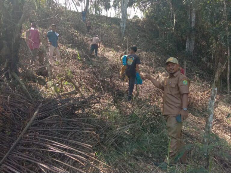 Lokasi rencana pembuatan patung Bunda Maria di mata air Waelokom, Desa Loha, Kecamatan Pacar, Kabupaten Manggarai Barat, sudah mulai dibabat Sumber Foto: Istimewa