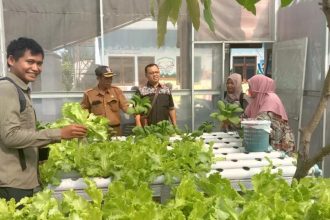 Sebagian masyarakat Desa Pondokdalem yang turut menanam sayuran menggunakan metode hidroponik. Sumber Foto: Asosiasi Pegiat Desa Indonesia (APDI) Jember