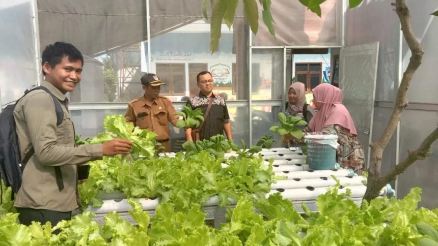 Sebagian masyarakat Desa Pondokdalem yang turut menanam sayuran menggunakan metode hidroponik. Sumber Foto: Asosiasi Pegiat Desa Indonesia (APDI) Jember