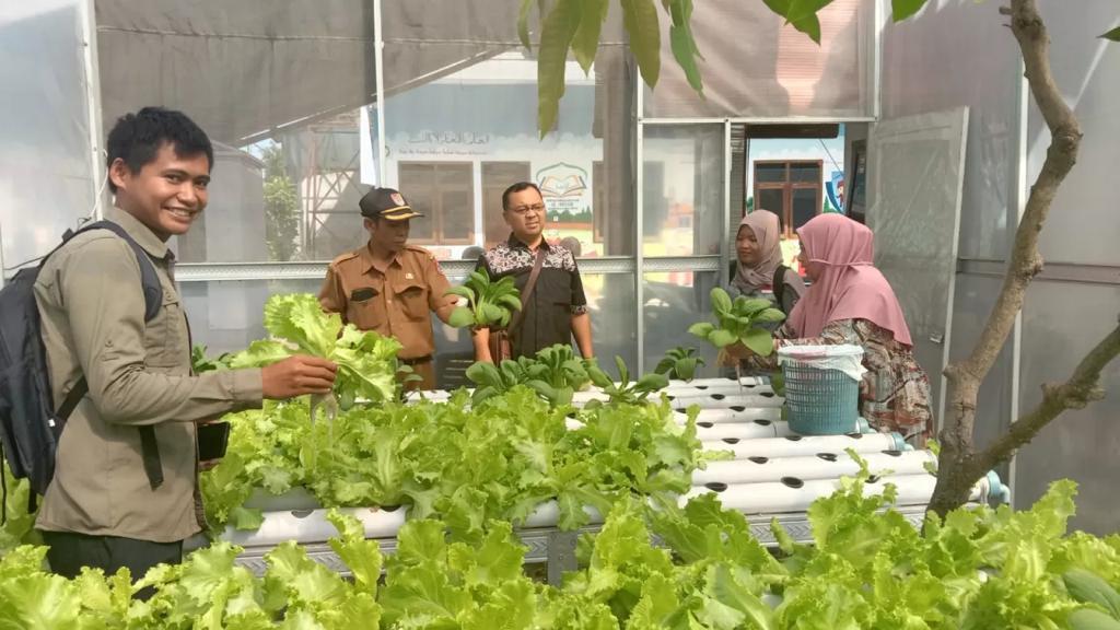 Sebagian masyarakat Desa Pondokdalem yang turut menanam sayuran menggunakan metode hidroponik. Sumber Foto: Asosiasi Pegiat Desa Indonesia (APDI) Jember