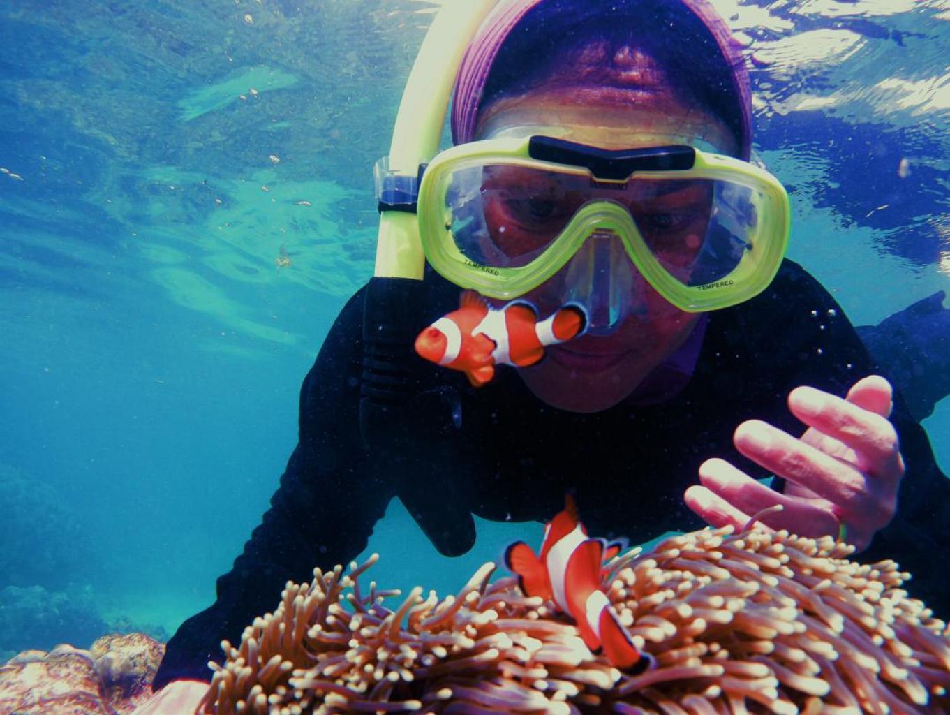 Keindahan bawah laut Pantai Minang Rua di Desa Wisata Kelawi. Sumber foto : Dokumentasi Kemenparekraf.