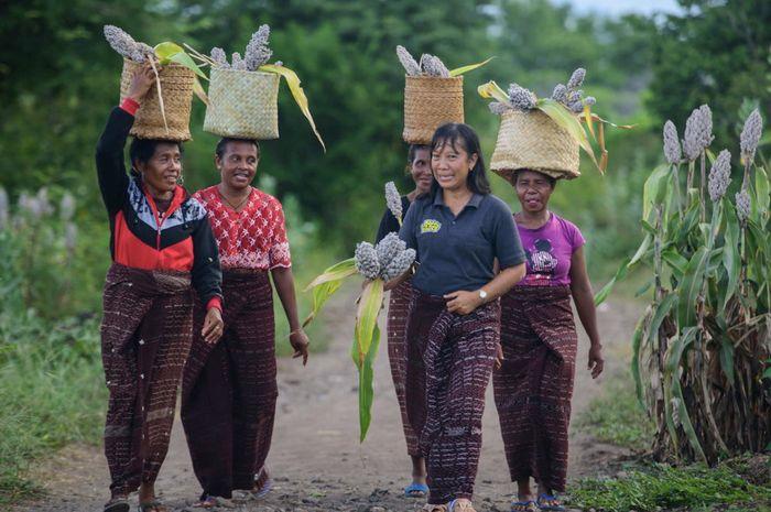 Maria Loretha (baju abu-abu) bersama petani perempuan di Desa Likotuden. Sumber foto: Istimewa