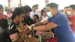 Vaksinasi anjing rabies di wantilan desa adat Kukuh, Desa Kukuh, Kecamatan Marga, Tabanan. Sumber Foto: Istimewa