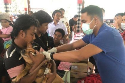 Vaksinasi anjing rabies di wantilan desa adat Kukuh, Desa Kukuh, Kecamatan Marga, Tabanan. Sumber Foto: Istimewa